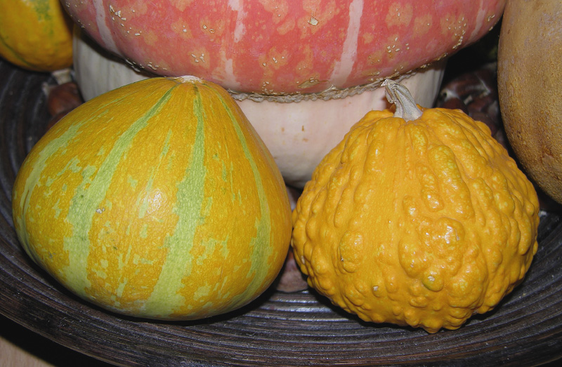 Formato RAW e formato TIFF......